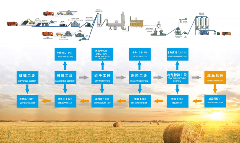 乐球直播在线宣传册_13 - 副本.png